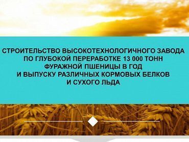 Изображение Презентация инвестиционного проекта "Строительство высокотехнологичного завода по глубокой переработке 13 000 тонн фуражной пшеницы в год..."