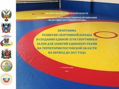 Изображение Программа развития спортивной борьбы и создание сети спортивных залов для занятий единоборствами на территории Ростовской области на период до 2027 года